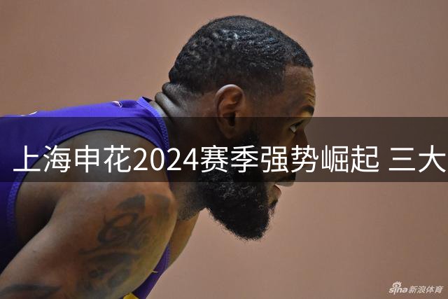 上海申花2024赛季强势崛起 三大蜕变开启新王朝序幕